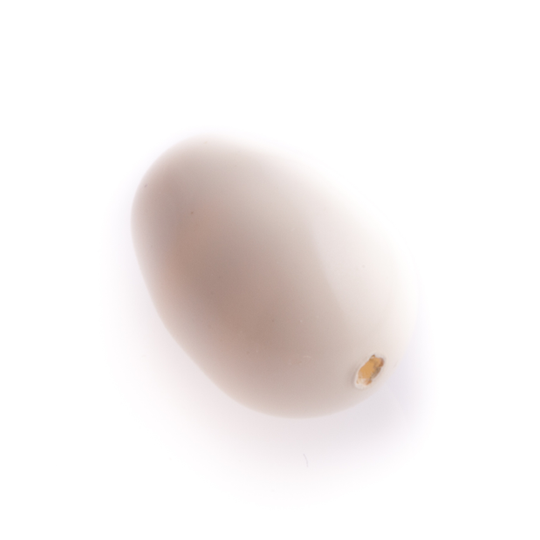 Druppel Swarovski-kristal ivoor